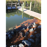 Day after the king tide York county Poquoson image